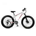 2019 china hot sale fat wheel motorbike/fat bike black/fat tire mountain bike reviews